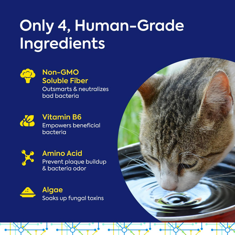 Protektin30 Plant-Derived Prebiotic Dental Powder for Cats, Daily Dental Care, Clinically-Proven Formula Naturally Fights Plaque and Tartar, Kit with 30 Servings Dental Kit (30 Servings) - PawsPlanet Australia