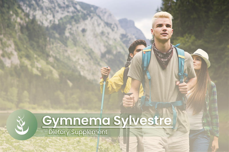 [Australia] - PURE ORIGINAL INGREDIENTS Gymnema Sylvestre, (100 Capsules), Always Pure, No Additives Or Fillers, Lab Verified 100 Count (Pack of 1) 