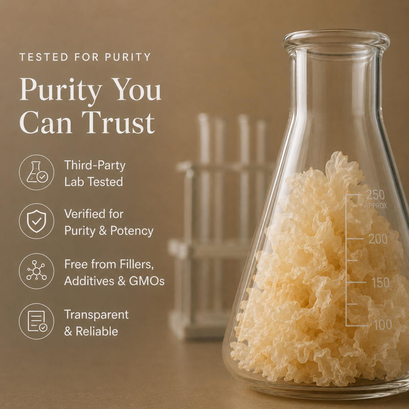 Ancient Extracts Tremella Mushroom Powder 15:1 Extract (60 servings) | For Skin Hydration & Collagen Support | 1 Serving Equals 15,000mg of Raw Mushroom | 30% Beta Glucans | Tested for Purity & Safety