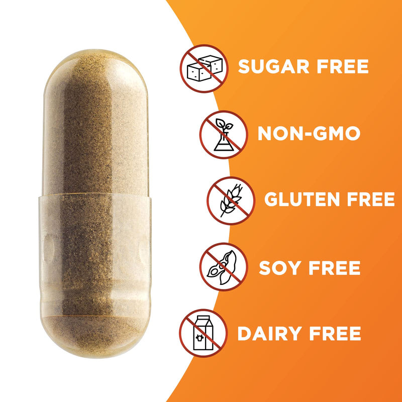[Australia] - Pure Cinnamon Capsules, Certified Organic Ceylon Cinnamon Pills, Non-GMO, Gluten-Free, Dairy-Free, Sri Lanka Cinnamon Powder Supplement, Best Vegan True Cinnamomum Vitamins, Sugar Free - 240 Capsules 240 Count (Pack of 1) 