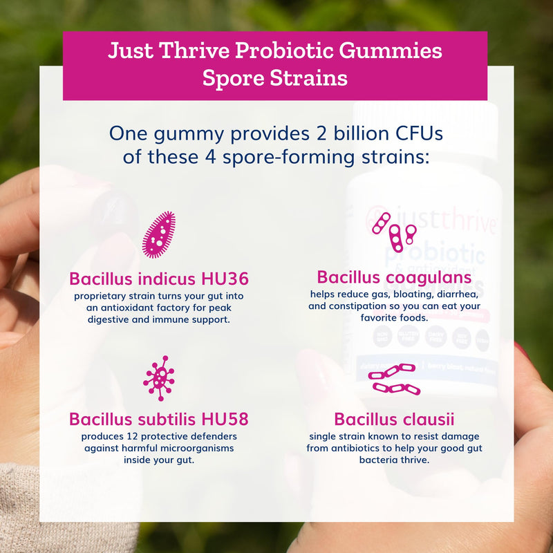 Just Thrive Probiotic Gummies for Kids & Adults Digestive & Immune Support | 30 gummies, For kids, women and men, Convenient daily probiotic support for digestive health, immune health and wellness 30 Count (Pack of 1)