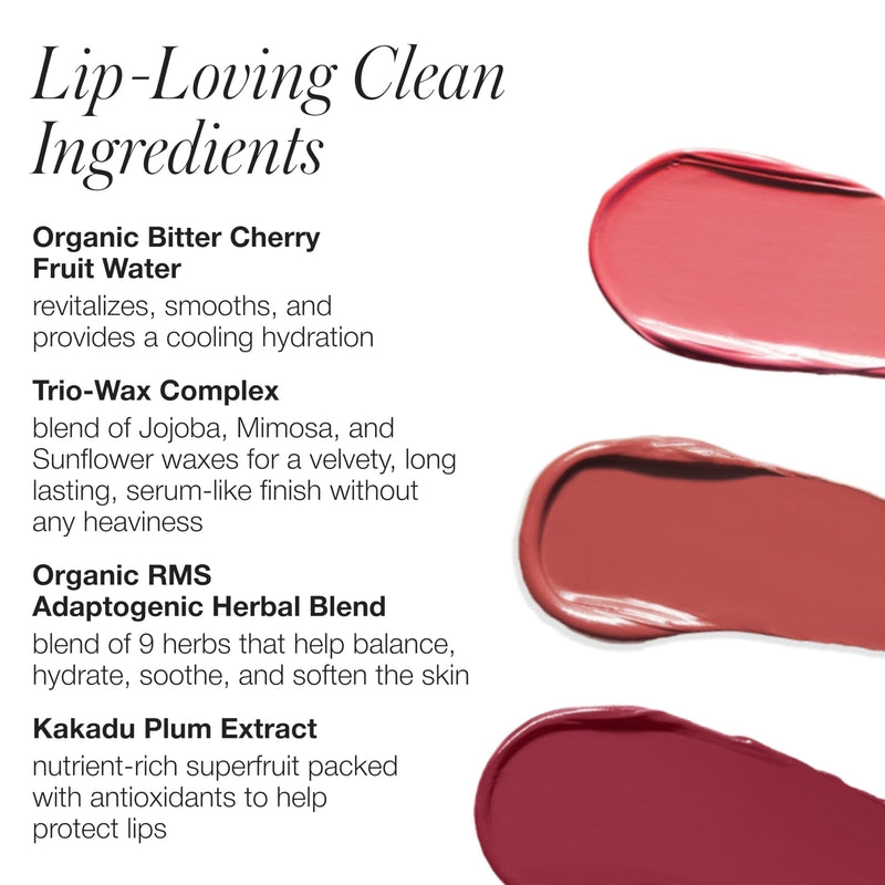 [Australia] - RMS Beauty Legends to Love Kit - Lipstick Set, Lip Tint Makeup Gift Set, Lip Color Gift Ideas, Lip Stain Make Up Kit Beauty Gifts for Teens & Women 0.12 Ounce (Pack of 3) 
