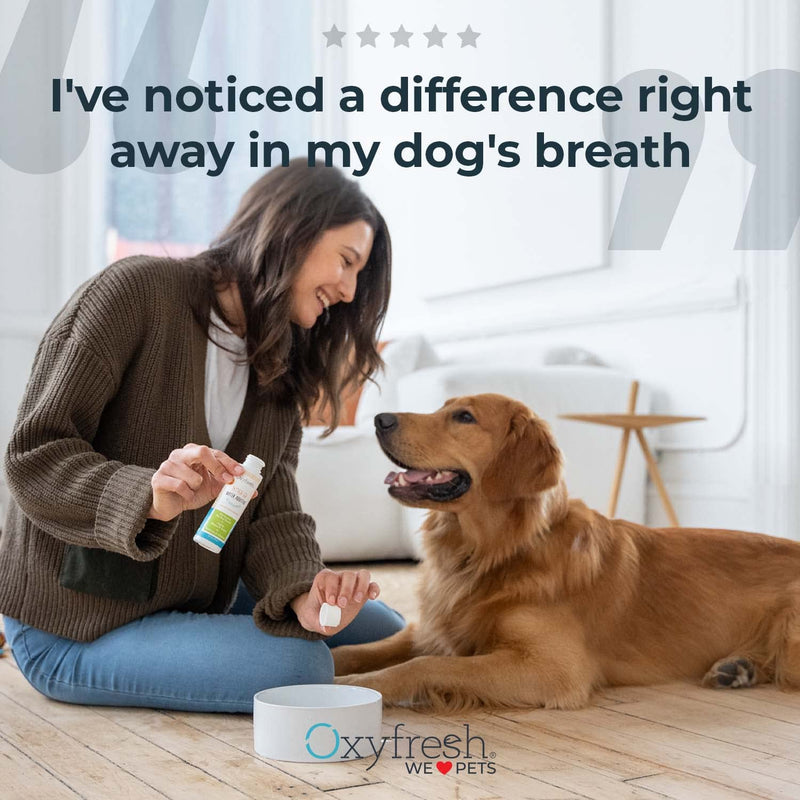 Oxyfresh Premium Pet Dental Kit for Dogs & Cats – Easy Solution for Fresh Breath, Clean Teeth, Control Plaque & Tartar – Vet Formulated Pet Toothpaste 1oz + Water Additive 3oz + 3 LG Brushes Kit Small Kit