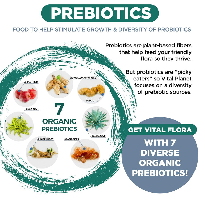 Vital Planet - Vital Flora Ultra Daily Probiotic 60 Billion CFU, Diverse Strains, Organic Prebiotics, Immune Support, Bloating Relief, Digestive Health Probiotics for Women and Men 30 Capsules 1 Count (Pack of 30)