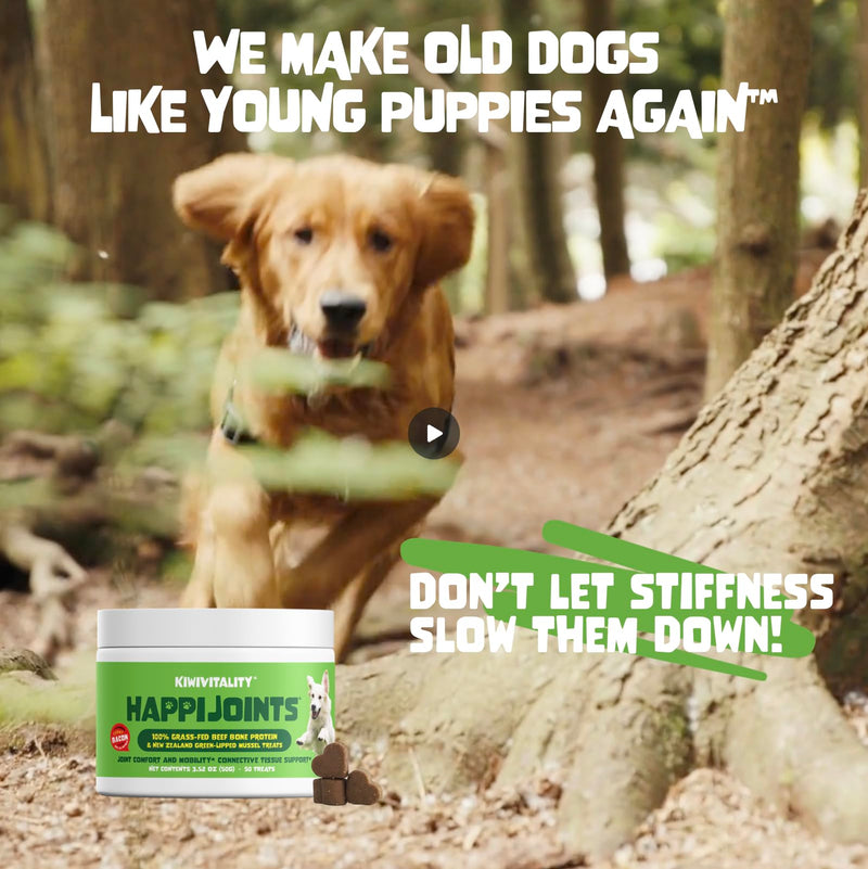 HappiJoints Hip and Joint Supplement Treats for Dogs, Cats • 100% Grass-Fed Beef Bone Collagen New Zealand Green-Lipped Mussels • 50 Treats - PawsPlanet Australia