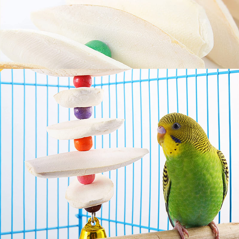 Afkengung 3 Pieces Cuttlebone Natural Cuttlebone Calcium Block for Birds Parakeets Reptiles Turtles Grindable Powder Feeding Natural Calcium Supply Improve Pet Immunity Each 5.5-6.5 Inch - PawsPlanet Australia