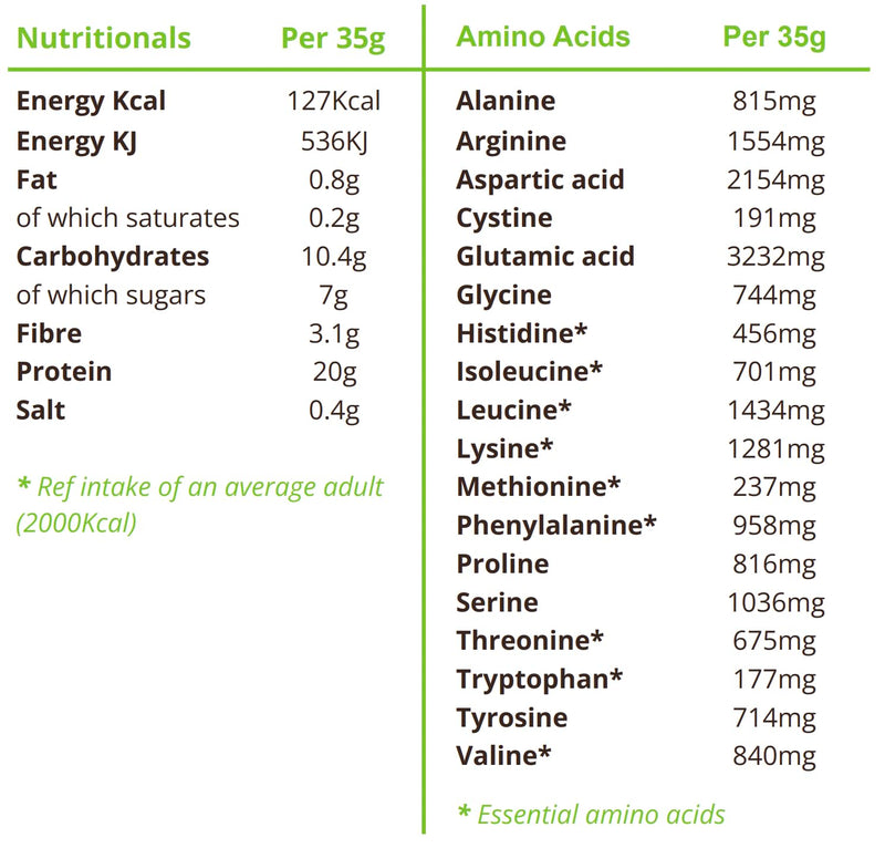 BodyMe Organic Vegan Protein Powder (525g) Chocolate - 20g Complete Protein - Plant Based Nutrition Shake - Gluten Free, Soy Free, Dairy & Lactose Free, Sweetener Free, High Fibre