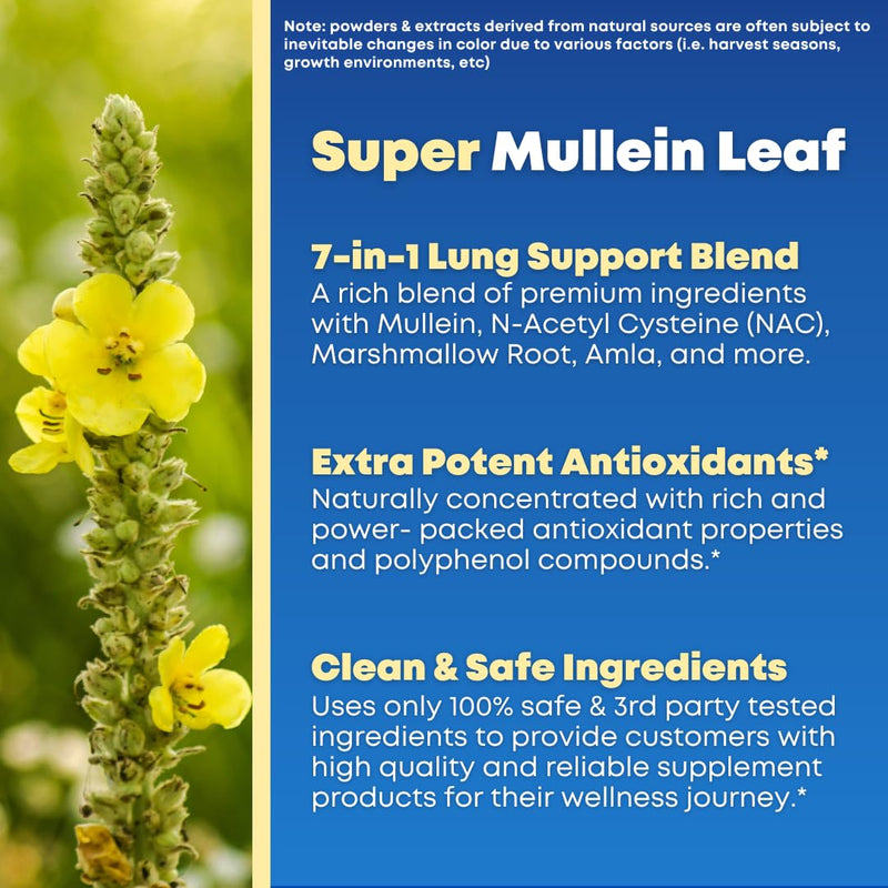 [Australia] - Mullein Leaf Extract & NAC Lung Detox Cleanse- N-Acetyl Cysteine, Marshmallow Root, Bromelain - Lung Health, Sinus, Mucus Removal Support Supplement for Smokers - 90 Capsules, Non-GMO, Gluten-Free 