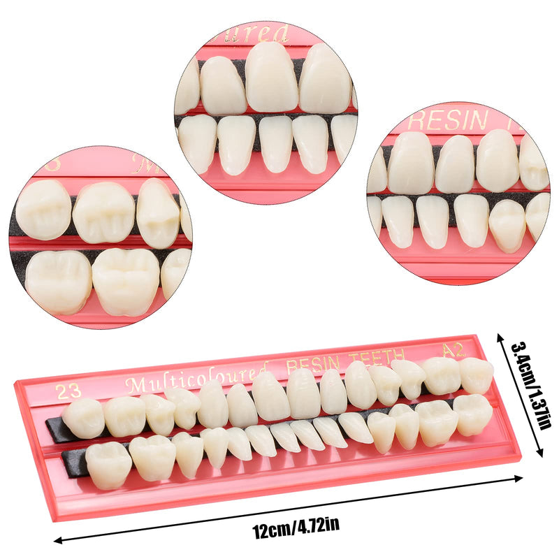 4 Sets Acrylic Resin Fake Teeth Denture Replacement Teeth False Teeth Teeth Upper and Lower Synthetic Resin Teeth for Halloween Party Replacement, 112 Pieces, 23 A2