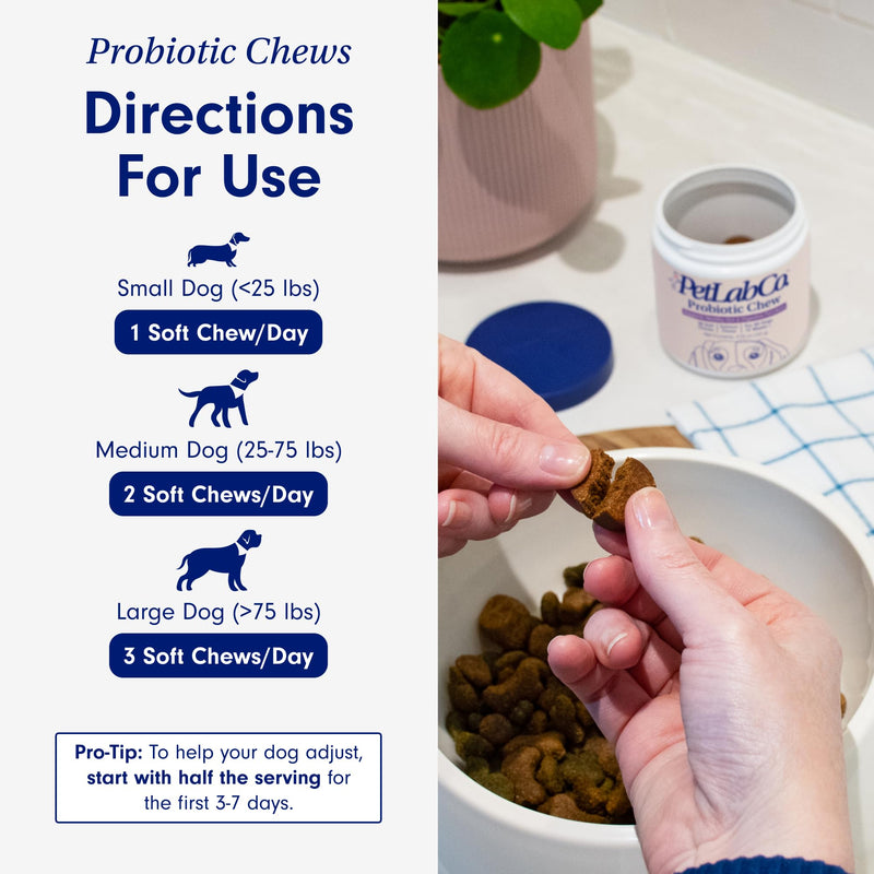 PetLab Co. - Gut & Ear Health Bundle: Probiotics for Dogs, Support Gut Health & Seasonal Allergies, & Ear Cleaner for Dogs, Supporting Yeast & Healthy Ear Canals - Easy to use Formulas - PawsPlanet Australia