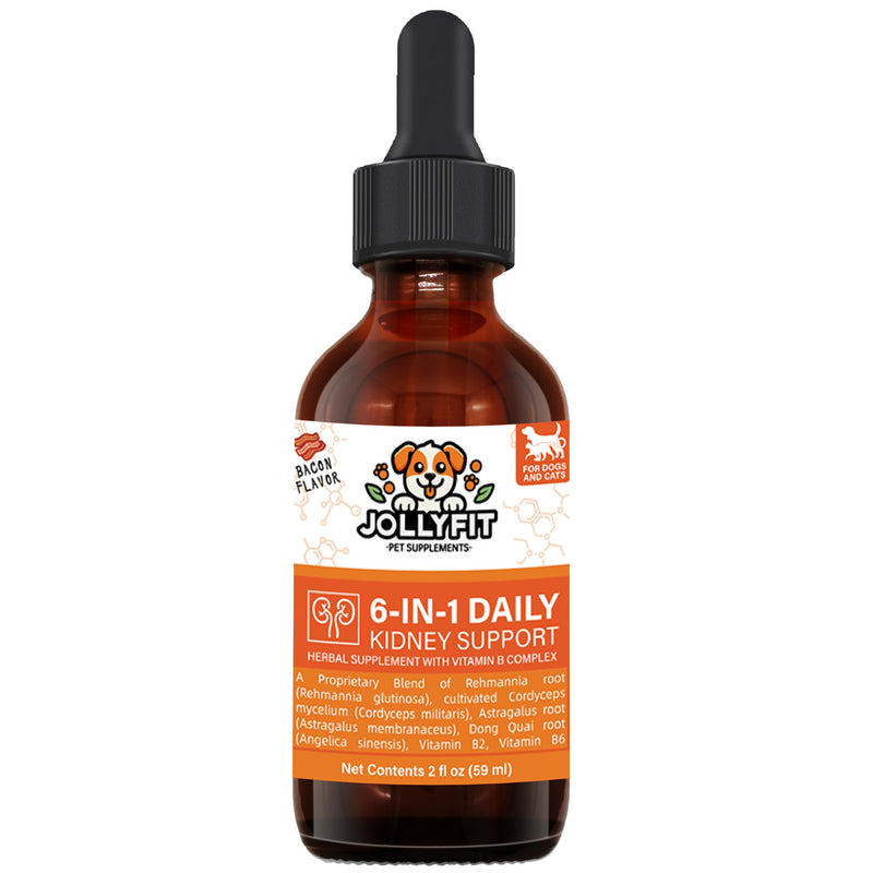 6-in-1 Kidney Support for Dogs & Cats – Promotes Healthy Kidney Function, Energy Levels & Fluid Balance – Veterinarian Formulated Herbal Supplement with Vitamin B2 & B6 – 2 fl oz (59 ml) - PawsPlanet Australia