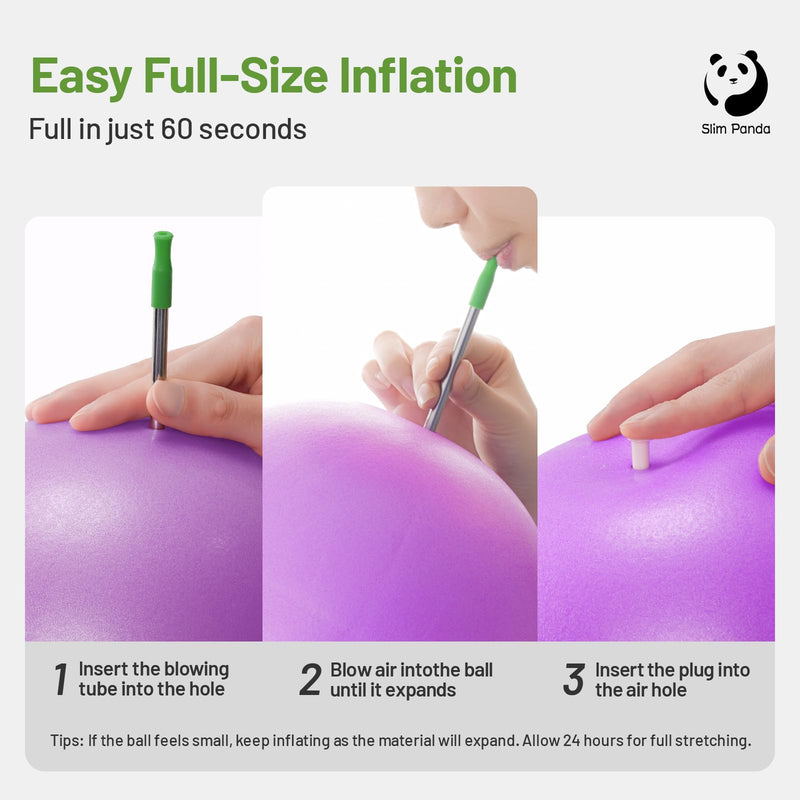 [Australia] - Slim Panda Pilates Ball, 9 Inch Small Exercise Ball, Anti Burst Mini Yoga Ball for Stability, Workout, Barre, Core Strength, Physical Therapy, Balance, Stretching 1 Purple 