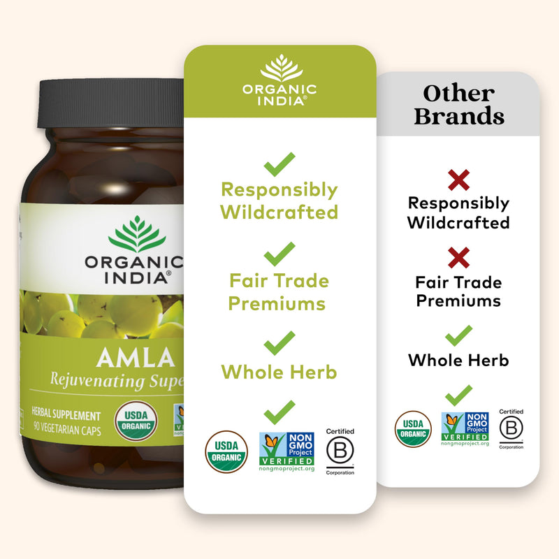 [Australia] - ORGANIC INDIA Amla Capsules Organic - Indian Gooseberry Herbal Vitamin Supplement, Amla Supplement, Immune Support, Vegan, Gluten-Free, Ayurvedic, Antioxidant, Non-GMO - 60 Capsules 60 Count (Pack of 1) 