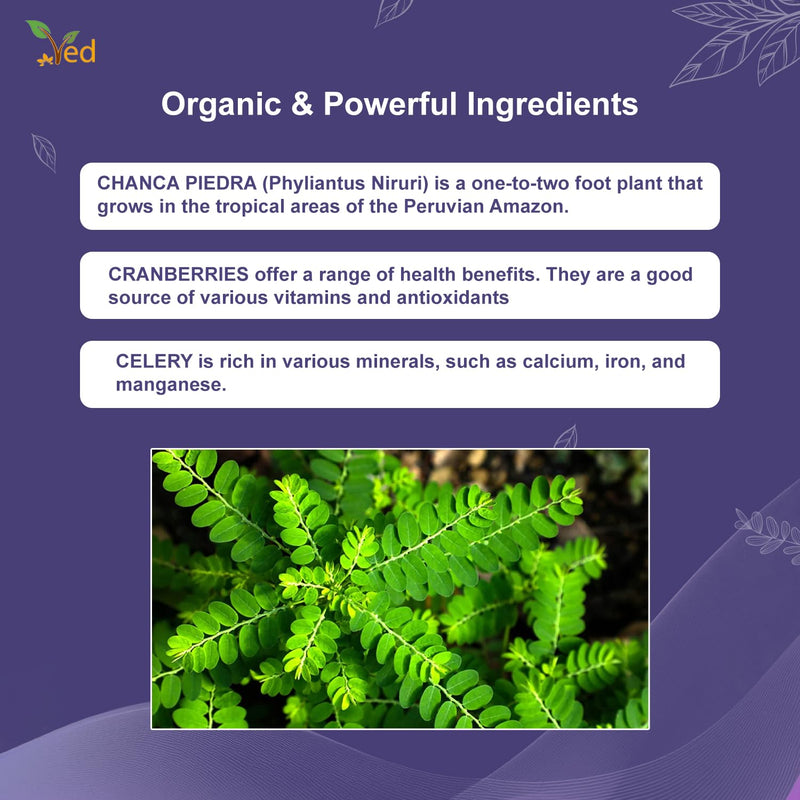 Ved Stone Breaker, Chanca Piedra Leaf Extract 1500 mg Kidney & Liver Support, Dissolve, Flush & Cleanse,90 Vegan Capsule (30 Days Supply)