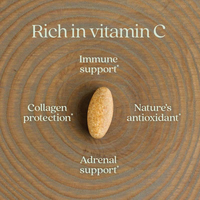 New Chapter Fermented Vitamin C and Elderberry, 60 Count | ONE Daily for Immune Support and Collagen Protection, Made with Organic Herbs, Vegan and Gluten Free Formula