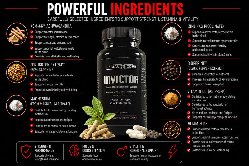 Primal Core Invictor – Men’s Vitality & Performance Supplement – KSM-66® Ashwagandha, Fenugreek, Zinc & Vitamin D3 – 60 Capsules