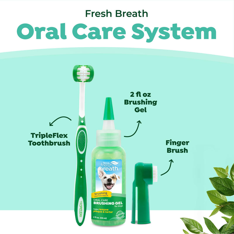 [Australia] - TropiClean Fresh Breath Dog Oral Care Kit | Complete Toothbrush and Toothpaste Set for Plaque & Tartar Control | Tooth Brushing Kit for Large Animals Large Dog Original Kit 