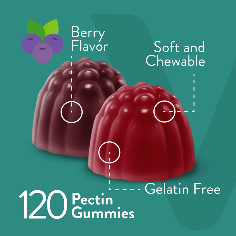 [Australia] - Probiotic Gummies wtih Prebiotics Fiber, Extra Strength 2 Billion CFUs - Prebiotics and Probiotics for Immune & Digestive Support - Vegan, Gelatin Free, GMO Free - Tasty Chewable Berry Flavored Gummy 60 Count (Pack of 2) 