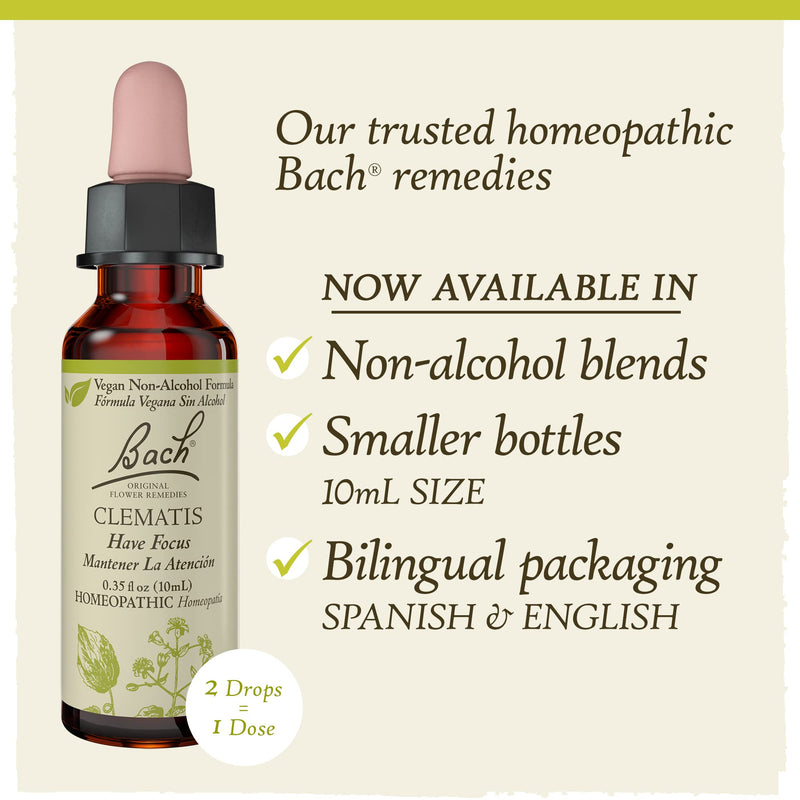 [Australia] - Bach Original Flower Remedies, Clematis for Focus and Concentration (Non-Alcohol Formula), Natural Homeopathic Flower Essence, Holistic Wellness and Stress Relief, Vegan, 10mL Dropper 