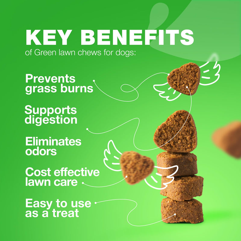 Grass Burn Spot Chews for Dogs - Dog Urine Neutralizer for Lawn - Grass Savers for Dog Urine - Dog Pee Lawn Spot Saver Caused by Dog Urine - Grass Treatment Rocks - Probiotics, Enzymes & Multivitamins Duck 180 count - PawsPlanet Australia