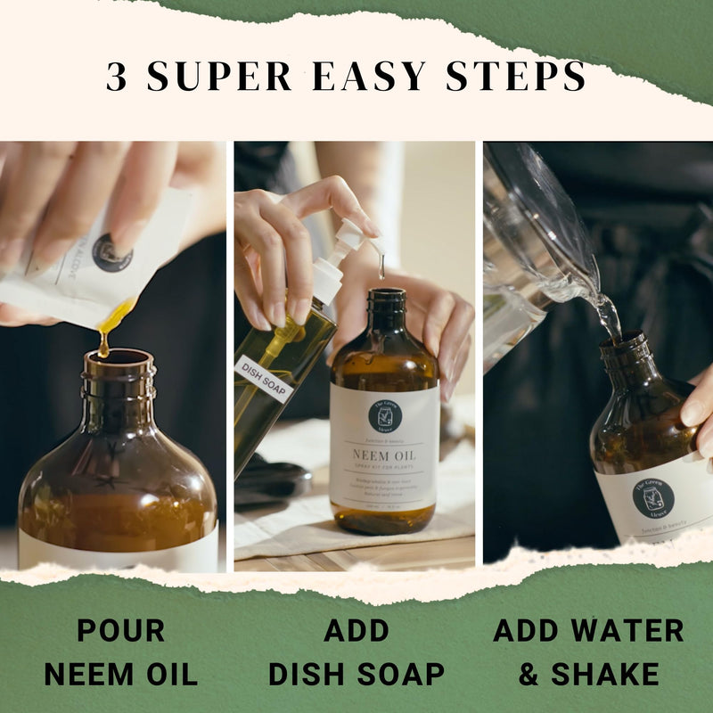[Australia] - 100% Cold Pressed Neem Oil Spray Refill for Indoor and Outdoor Garden Plants, Makes 80 fl oz | The Green Alcove 0.12 Fl Oz (Pack of 5) 