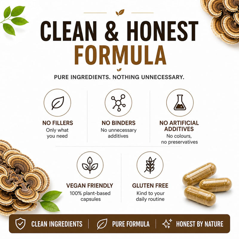 High Strength Turkkey Tails Fruiting Body Extract 8000mg | 20:1 Mushroom Extract | 30% PLY | 90 Vegan Capsules | 45 Day Supply | UK Packed | No Fillers or Bulking Agents | Vegan and Gluten Free
