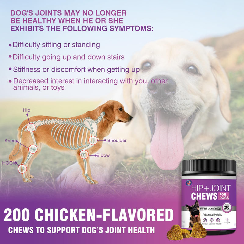 Glucosamine for Dogs 200pcs Joint Support Supplement Dog Hip and Joint Chondroitin Chews Treats with MSM Hemp Dog Joint Pain Relief Mobility Supplements Chicken Flavor Fit All Large Small Medium Breed - PawsPlanet Australia