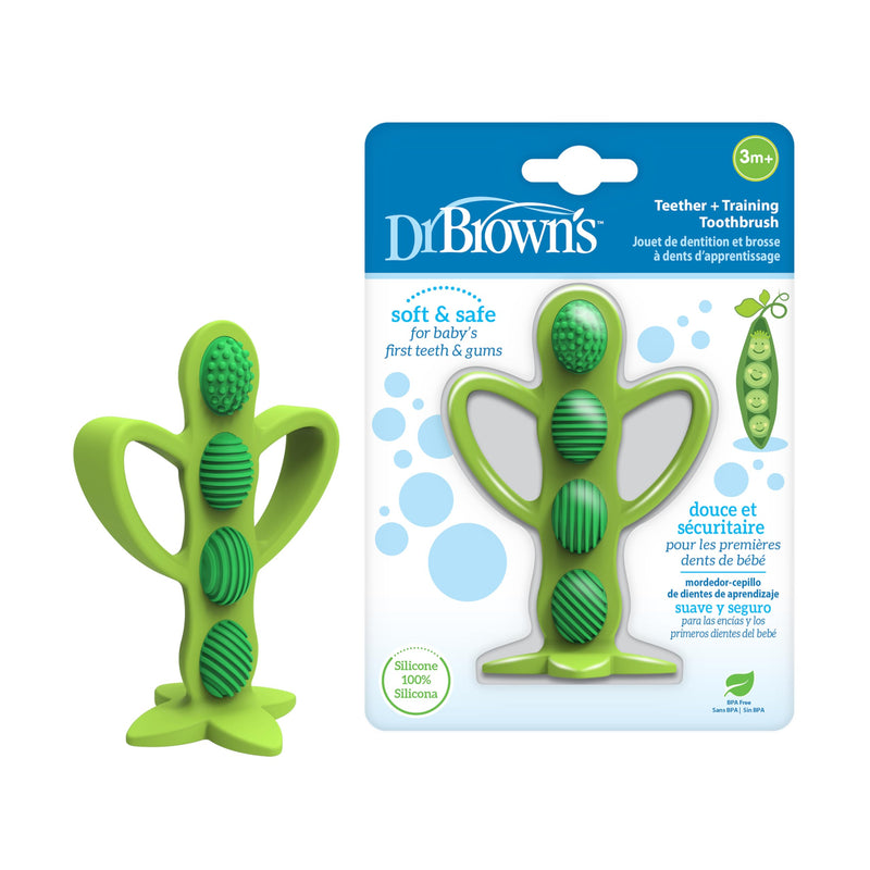 [Australia] - Dr. Brown's Peapod Teether and Training Toothbrush, Soft and Safe for Baby Gums and First Teeth, BPA Free, 100% Silicone, 3m+ Peapod Toothbrush/Teether 
