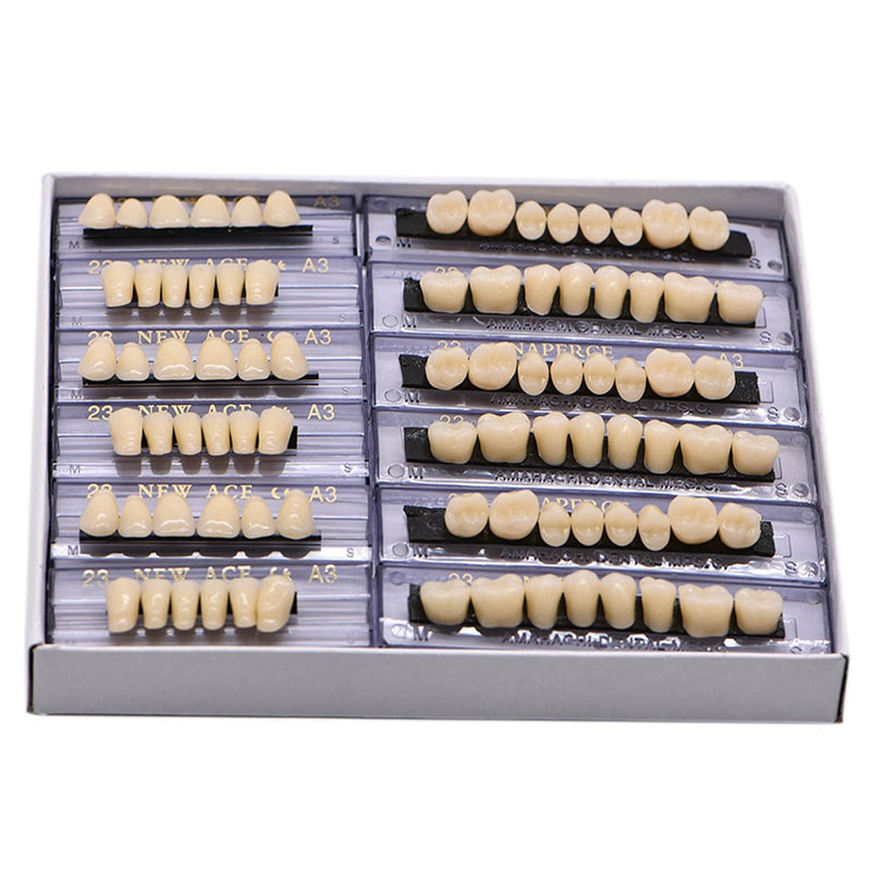 [Australia] - Angzhili Dental Synthetic Acrylic Resin False Teeth for Halloween Horror Teeth Denture Teeth Sets Shade A3 Upper And Lower Acrylic Teeth Sets(168pcs) 