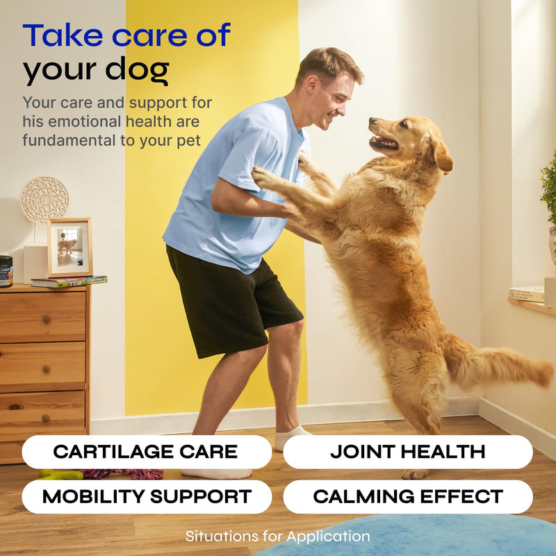 Glucosamine for Dogs - Hemp Joint Supplement for Dogs - Glucosamine Chondroitin for Dogs with MSM - Hip and Joint Chews for Dogs Mobility Support - Hip & Joint Pain Relief- Hemp Seed Oil, Vitamin C Duck 130 count - PawsPlanet Australia
