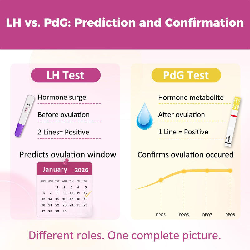 PdG Test Strips - Progesterone Urine Test Kit - At-Home Ovulation Confirmation Test for Women - 5 Tests