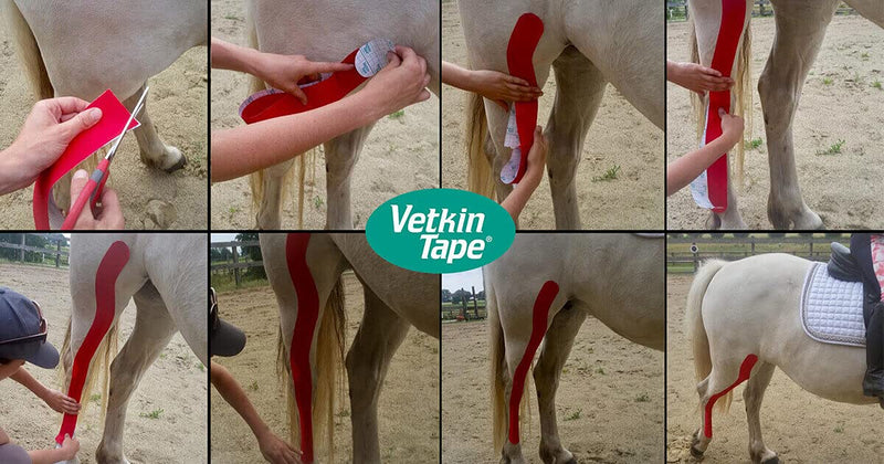 [Australia] - VetkinTape® Veterinary Kinesiology Tape Black | kinesiology Tape for Horses & Dogs | Equine & Canine Kinesiotape | Latex Free and TÜV Quality Mark Certified Ktape | 2.4 inch | Pack of 1 Roll 