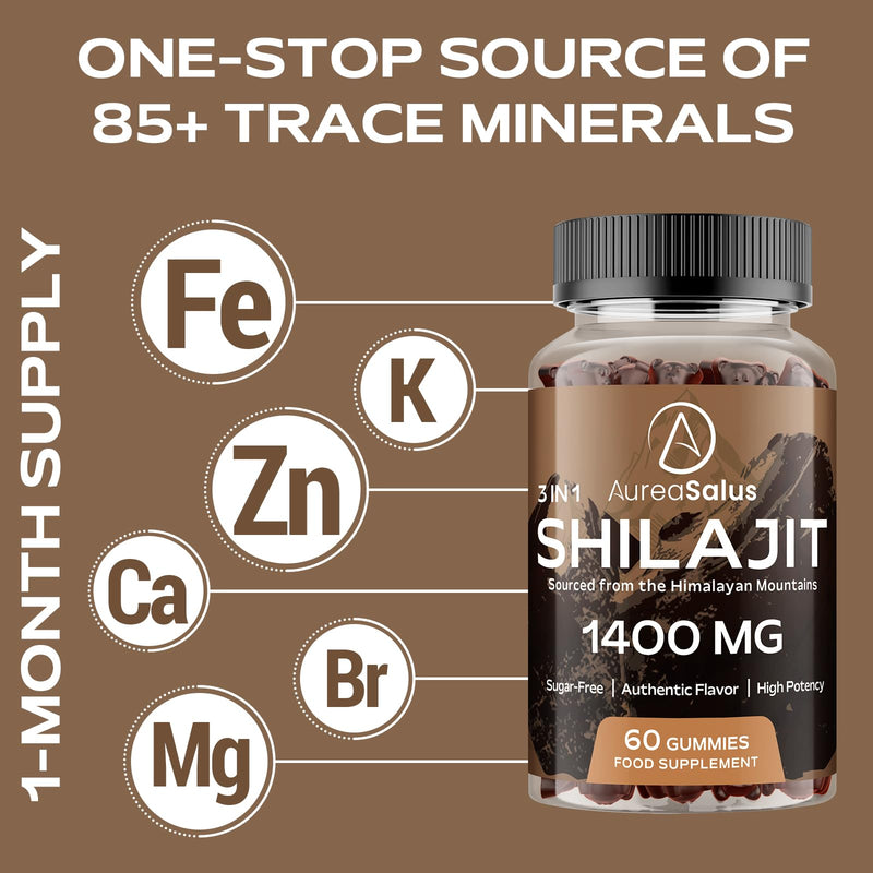 Shilajit Gummies 1400mg, Shilajit Supplement with Chaga and Ashwagandha, Original from Himalayan with Fulvic & Humic Acid and 85+ Minerals, for Energy, Immunity & Focus, Sugar-Free, 120 Gummies 60 count (Pack of 2)