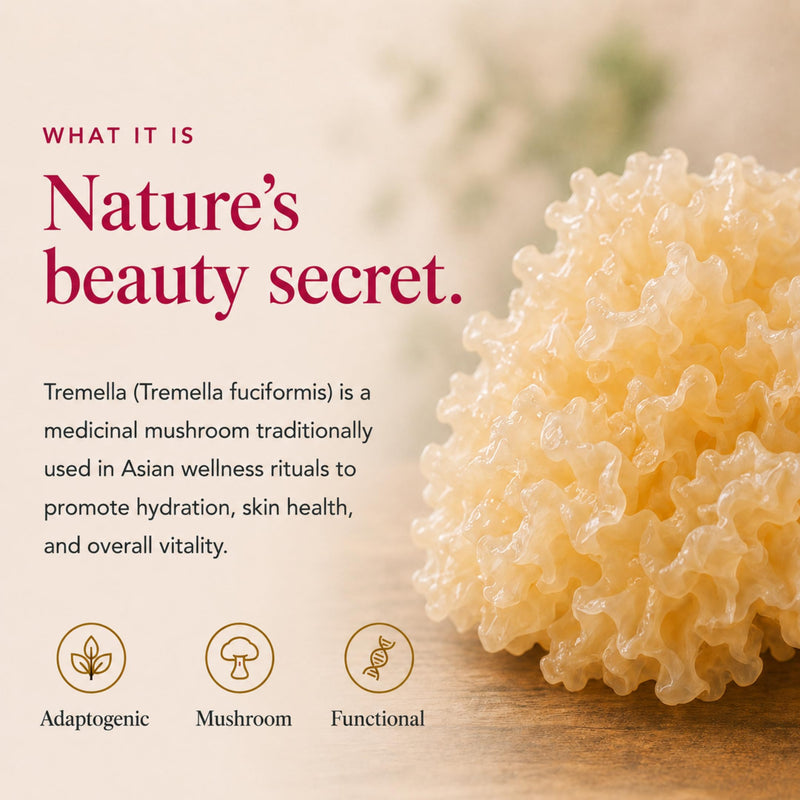 Ancient Extracts Tremella Mushroom Powder 15:1 Extract (60 servings) | For Skin Hydration & Collagen Support | 1 Serving Equals 15,000mg of Raw Mushroom | 30% Beta Glucans | Tested for Purity & Safety