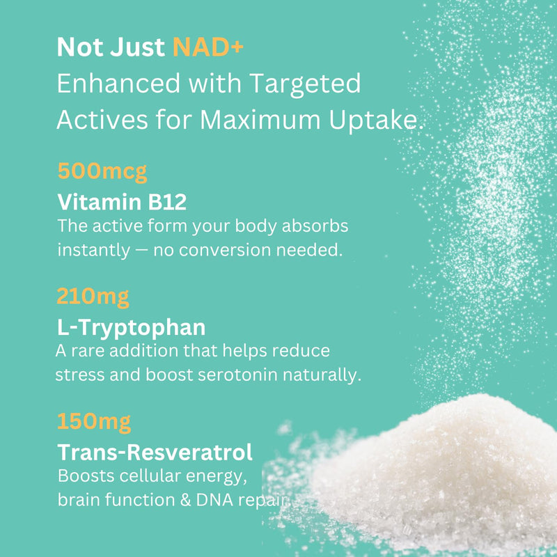 NAD+ Capsules 1,000mg Nicotinamide | Flush-Free B3, B12, Quercetin, L-Tryptophan & Resveratrol | Sugar-Free, Vegan NAD Supplement for Energy, Focus, Aging & Cellular Repair. 90 Capsules (30 Capsules) 30 Capsules