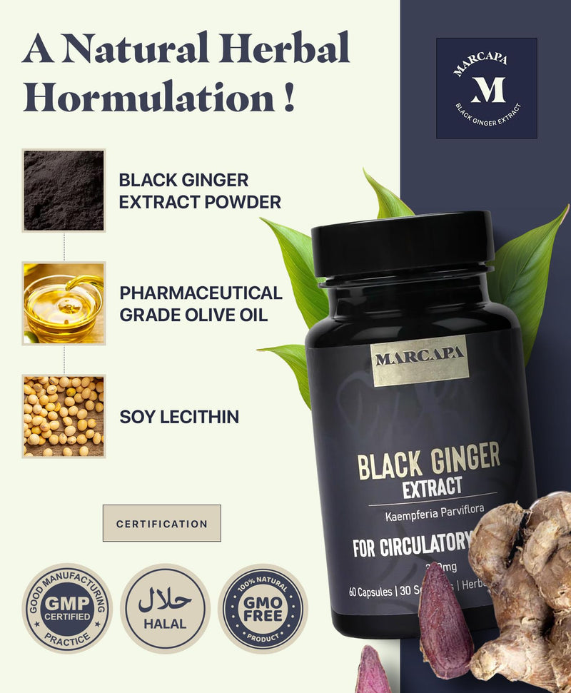 [Australia] - Marcapa Black Ginger Root Supplement - 60 Softgels | Organic Ginger Extract for Cardiovascular & Metabolic Support | Enhanced Energy & Endurance | Optimal Absorption with Olive Oil 