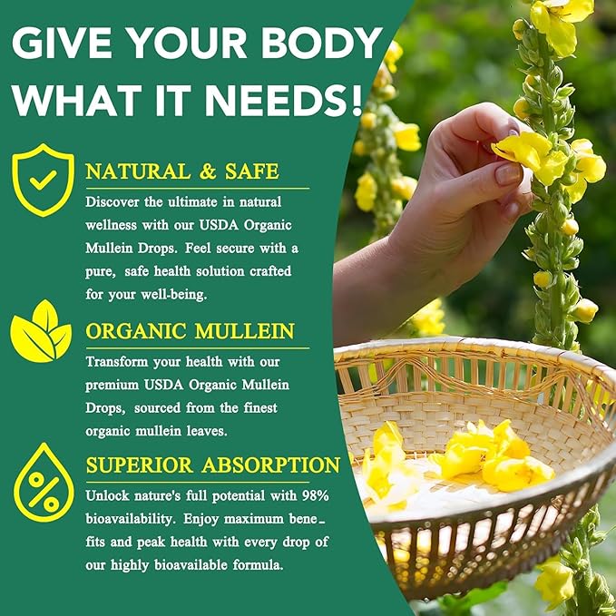 Mullein Drops for Lungs, 2 Pack Mullein Leaf Extract with Chlorophyll, for Lungs Cleanse and Healthy Breathing, 60ml/Pack, 2 Month Supply