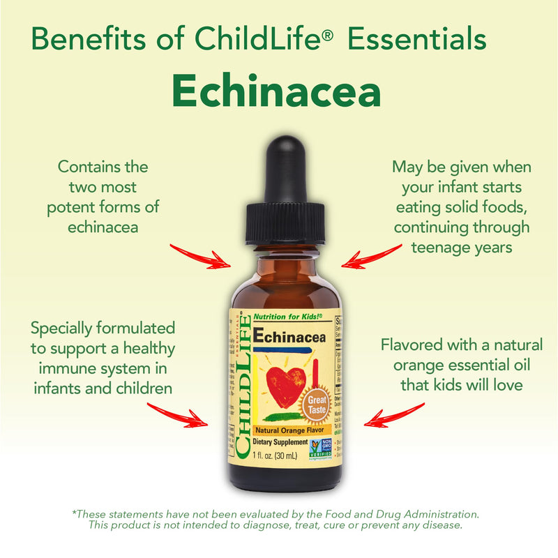CHILDLIFE ESSENTIALS Echinacea for Kids, Orange, 1 Fl Oz (Pack of 3) | Kids Echinacea Drops, Vitamin Tincture, Alcohol Free Supplement, Babies, Toddlers, Children, Natural Orange Flavor 1 Fl Oz (Pack of 3)