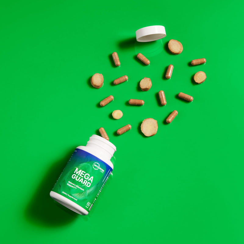 [Australia] - Microbiome Labs MegaGuard - Artichoke Leaf + Ginger Extract to Support Digestive Health - Daily Gut Health Supplement for Occasional Bloating Relief (60 Capsules) 