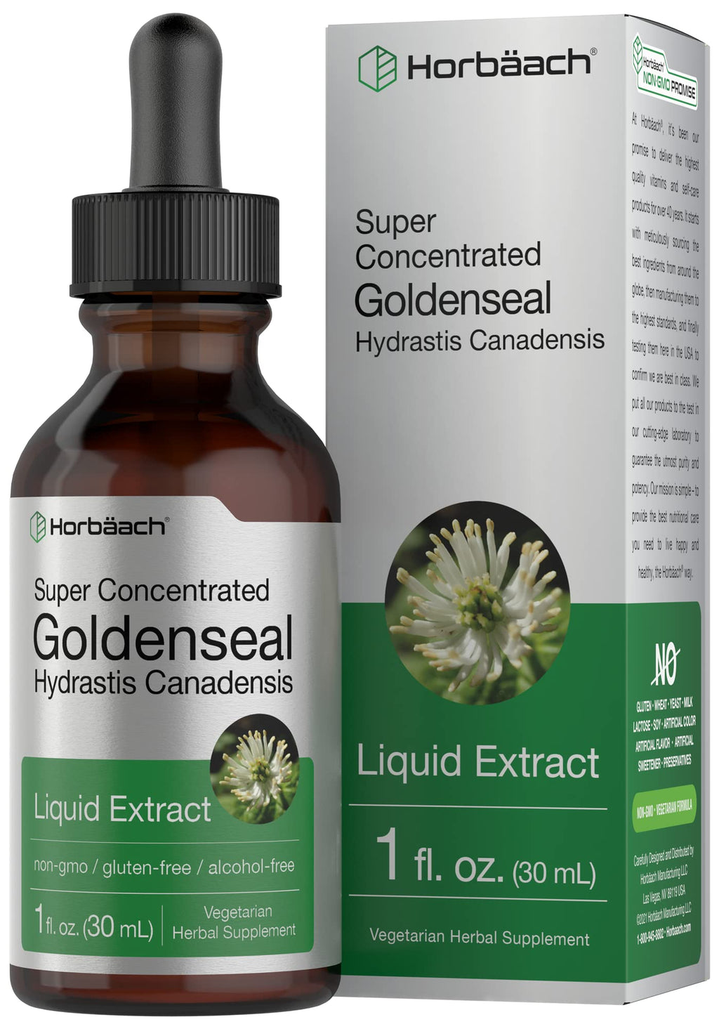 Horbäach Goldenseal Root Extract Liquid | 1 fl oz Tincture | Super Concentrated | Alcohol Free | Vegetarian, Non-GMO, Gluten Free