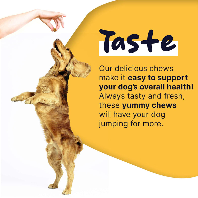 Dog Multivitamin Supplement - 120 Soft Chew Dog Vitamins and Supplements with Omega, Probiotics, Glucosamine, and More - for Small, Large, and Senior Dogs - PawsPlanet Australia