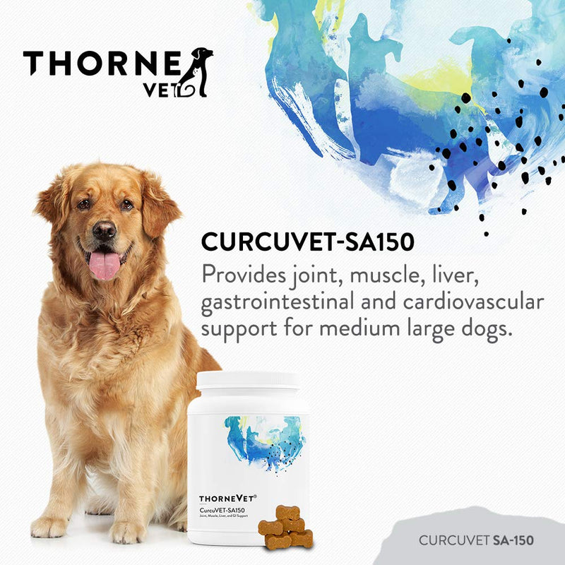 ThorneVET CurcuVET-SA150 – Joint, Muscle, Liver & GI Support for Medium & Large Dogs, 90 Soft Chews - PawsPlanet Australia