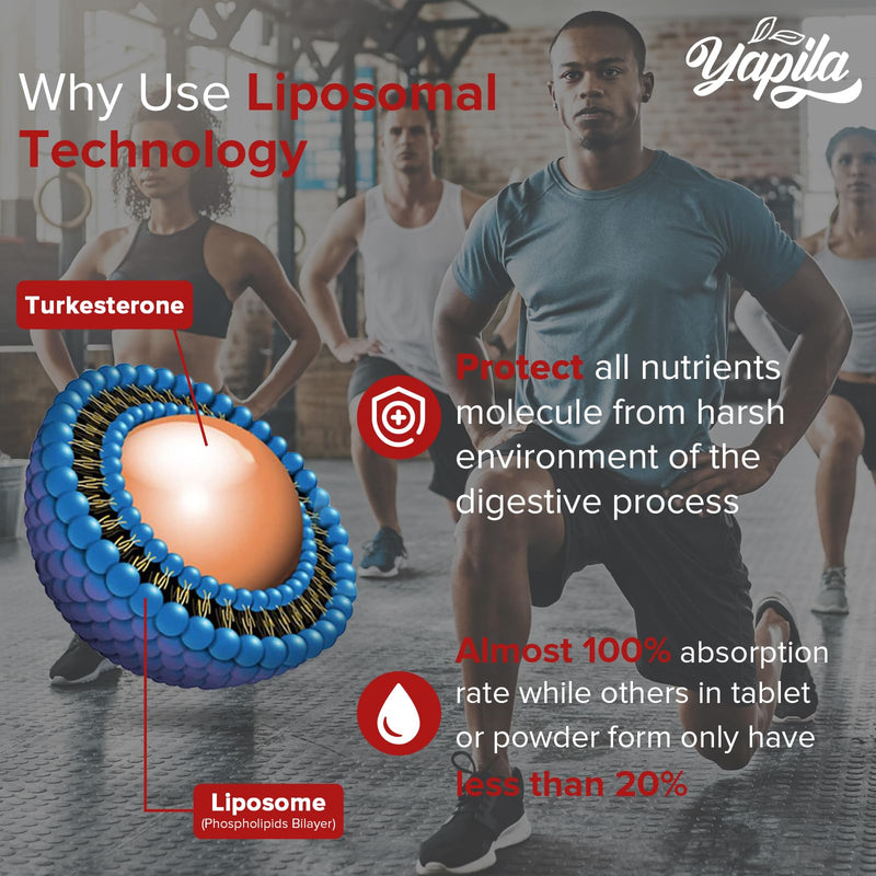 Liposomal Turkesterone Supplement - 1500mg Ajuga Turkestanica Extract, Standardized to 20% Turkesterone, Max Absorption, High Strength for Bodybuilding, No Additives, Non-GMO, 2 Package