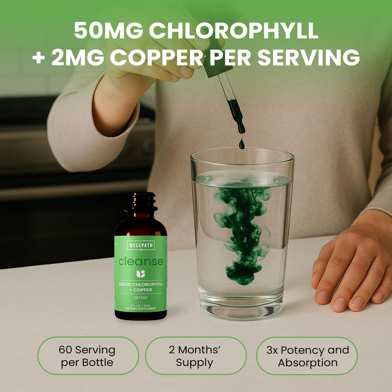 [Australia] - WellPath Chlorophyll Liquid Drops with Copper - High Potency Vegan Liquid Chlorophyll for Body Odor, Liver Detox, Digestion Support & Immune Support - Internal Deodorant, Made in USA, Non-GMO, 2 Fl Oz 2 Fl Oz (Pack of 1) 