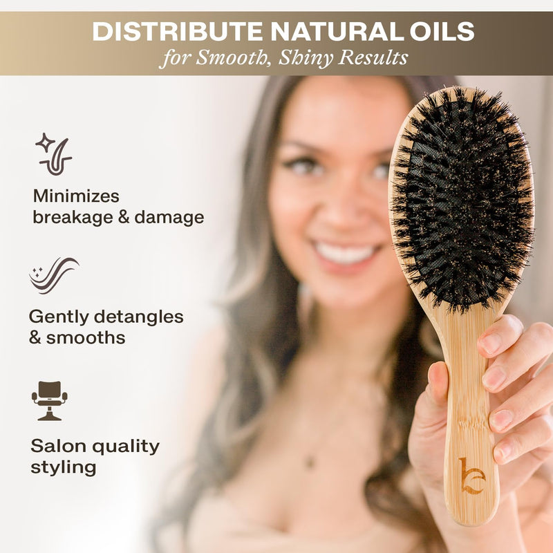 [Australia] - Boar Bristle Hair Brush for Women and Men, Natural 100% Soft Boars Hairbrush for Fine and Thin Hair Pack of 1 100% Boar Bristles 