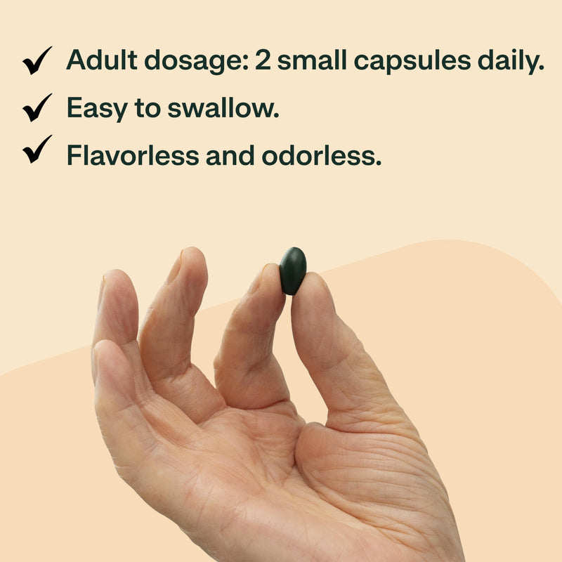 Joint Support – Supports Mobility & Osteoarthritis – May Help Reduce Inflammation with Patented Epiitalis – 60 Capsules 60 Count