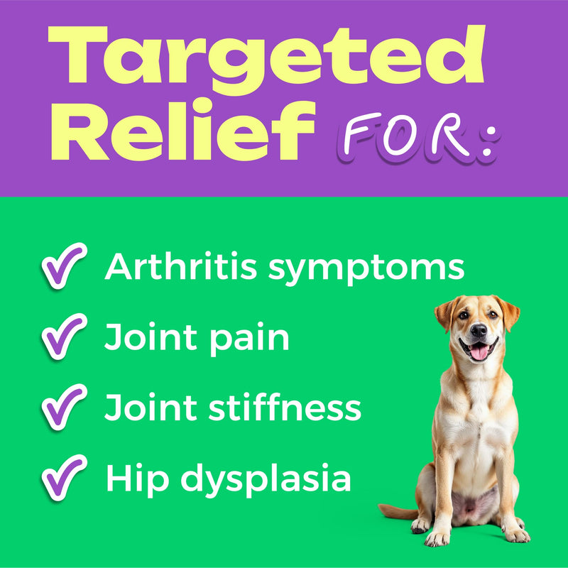 Pawfect Mobility Glucosamine Chews for Dogs - Hip & Joint Health Supplement Chews w/Omega-3, Chondroitin, MSM - Made in USA - Joint Pain Relief - Hip & Joint Care - 120ct 120 Glucosamine Treats - PawsPlanet Australia