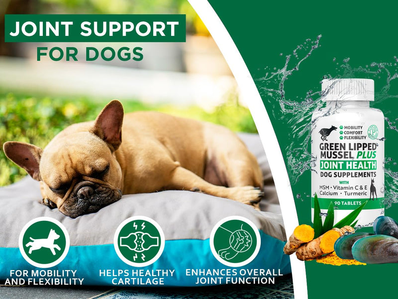 New Zealand - Green Lipped Mussel for Dogs - 1325mg 90 Caps - Hip & Joint Supplement for Dogs & Arthritis Relief for Dogs - GMO & Gluten Free - PawsPlanet Australia