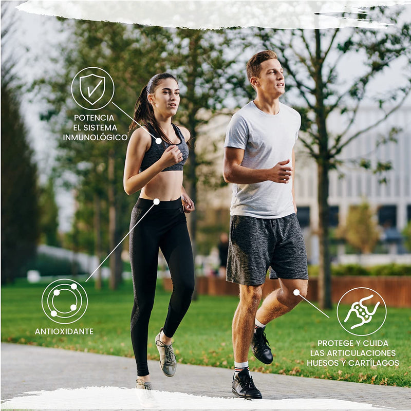 Articomplex. Silica with Vitamins and Minerals that compensate for the Loss of Essential Minerals Strengthens Joints, Bones, and Cartilage and boosts the Immune System. 100 Capsules.
