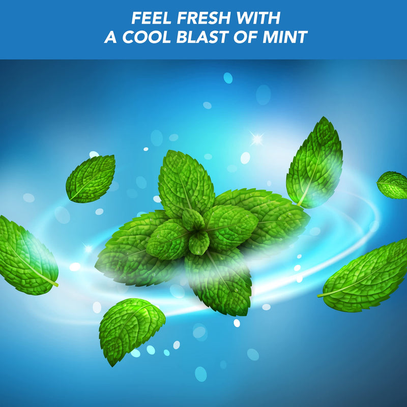 rebEarth Natural Deep Clean Charcoal Floss - Oral Care Dental Floss w/Mint Flavor, 30m Tooth Floss in Glass Container, Bamboo Floss w/Reusable Floss Container, Smooth & Shred Resistant (Pack of 4) 4 Pack Dental Floss